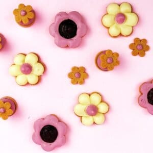 Cortantes Kit Flores Redondas